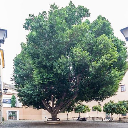 Alohamundi Escuelas Pias 세비야 외부 사진