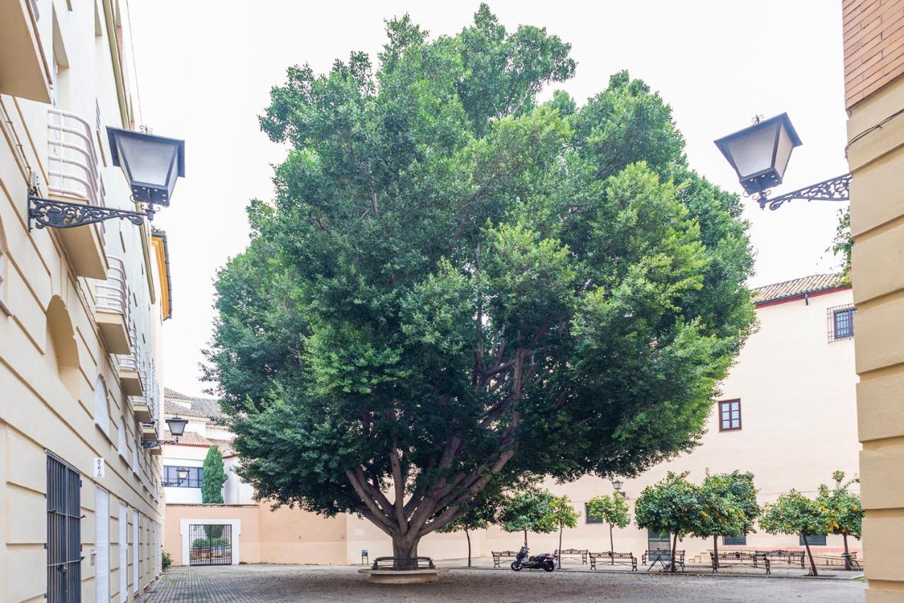 Alohamundi Escuelas Pias 세비야 외부 사진
